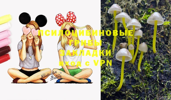 spice Белокуриха